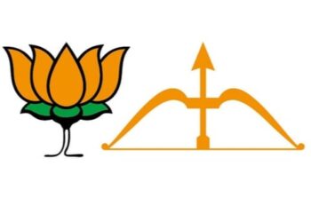 तर महायुतीचा झाला असता विजय !