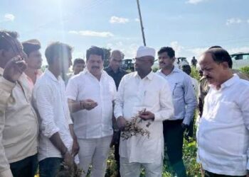 पालकमंत्री नरहरी झिरवाळ यांनी शेतशिवारांची केली पाहणी